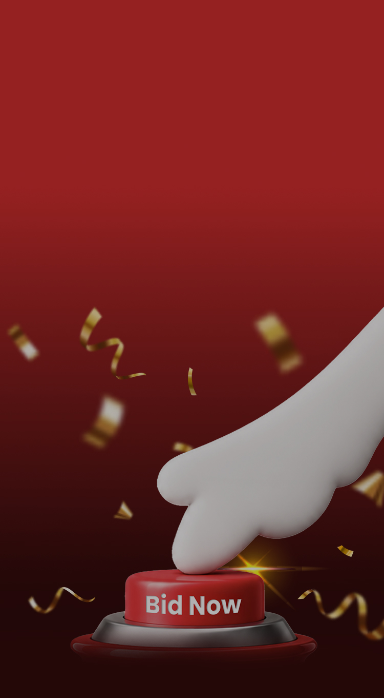 boost_at_bid_homepage_mobile_banner